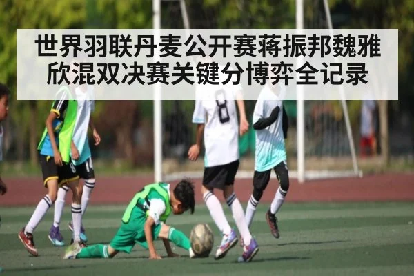世界羽联丹麦公开赛蒋振邦魏雅欣混双决赛关键分博弈全记录